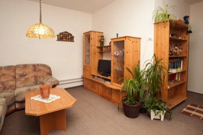 Ferienwohnung Buschmann Seiffen Wohnzimmer
